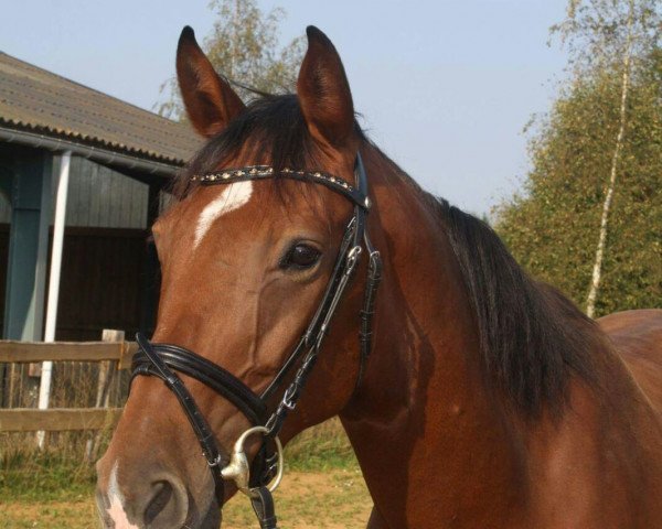 jumper Lambi (Zweibrücken, 2007, from Le Carolus)
