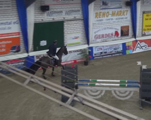 Reitturnier Lathen 2019