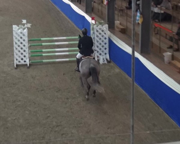 Reitturnier Lathen 2019