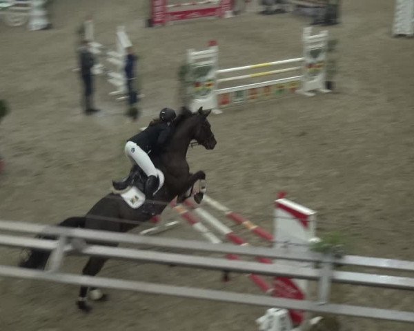 Reitturnier Lathen 2019