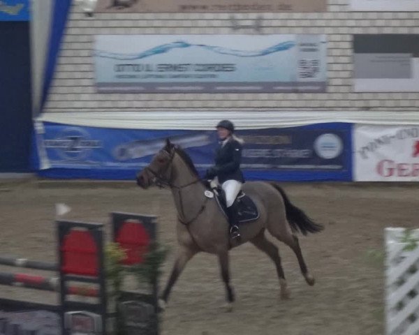 Reitturnier Lathen 2019