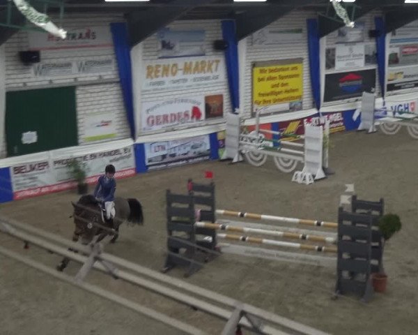 Reitturnier Lathen 2019