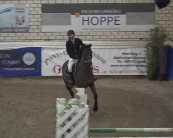 Reitturnier Lathen 2019