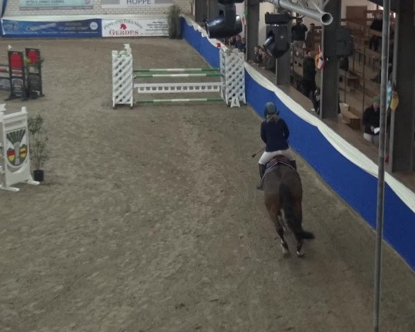 Reitturnier Lathen 2019