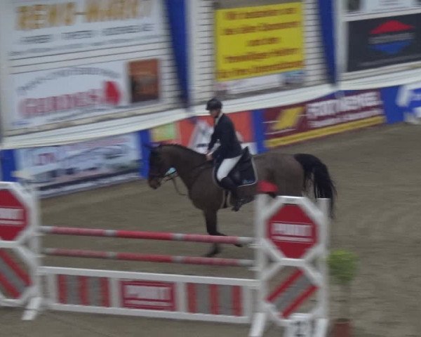 Reitturnier Lathen 2019