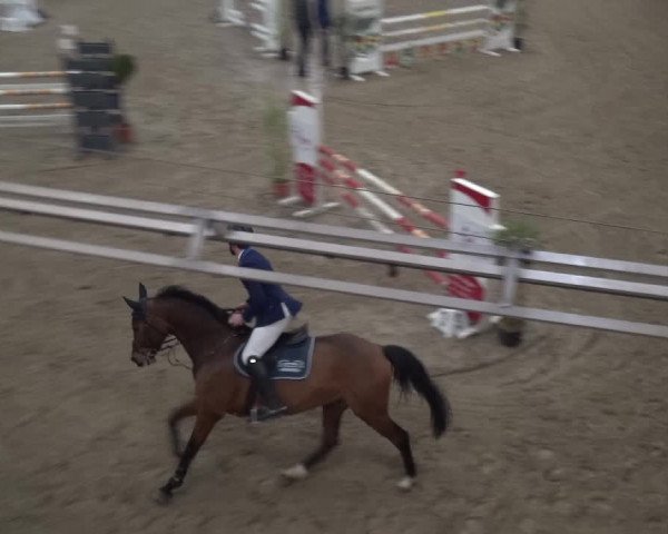 Reitturnier Lathen 2019