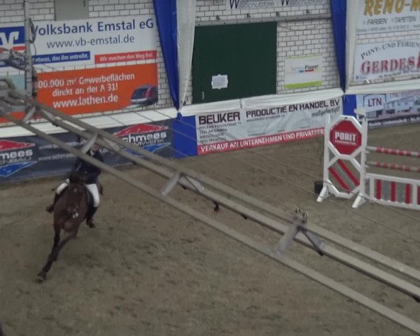Reitturnier Lathen 2019