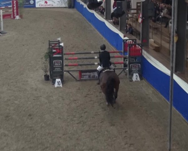 Reitturnier Lathen 2019