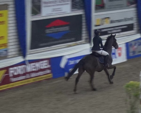 Reitturnier Lathen 2019