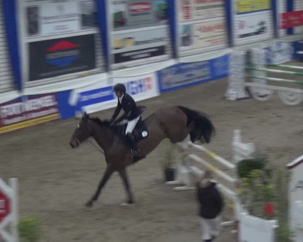 Reitturnier Lathen 2019