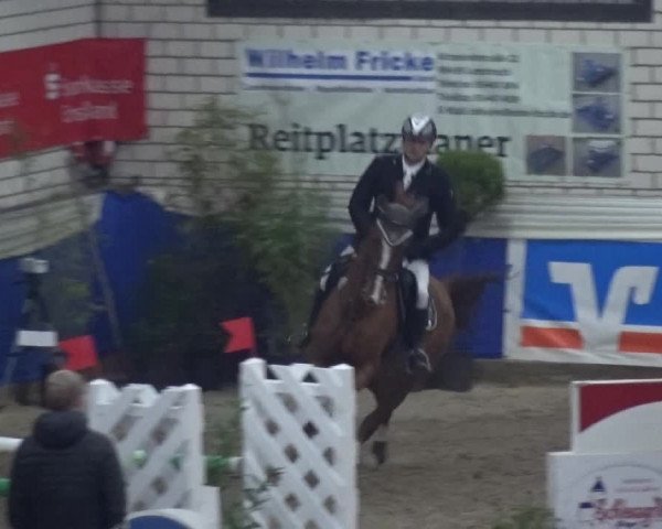 Reitturnier Lathen 2019