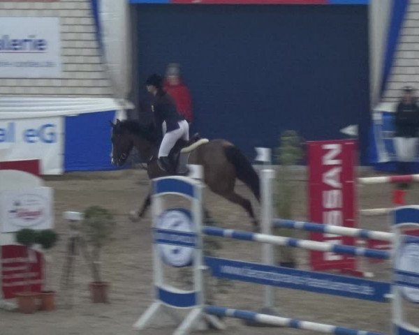 Reitturnier Lathen 2019