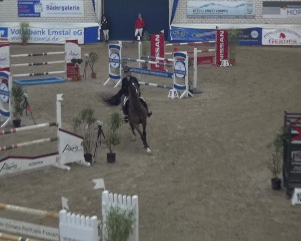 Reitturnier Lathen 2019