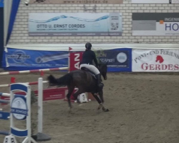 Reitturnier Lathen 2019