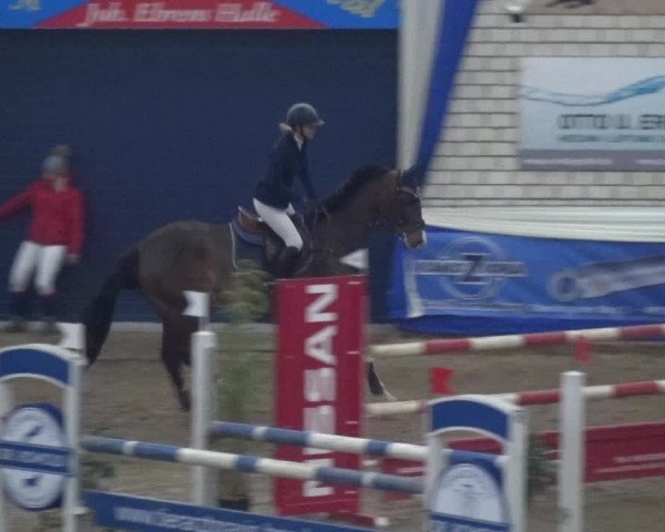 Reitturnier Lathen 2019