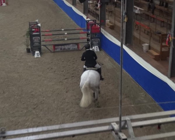 Reitturnier Lathen 2019