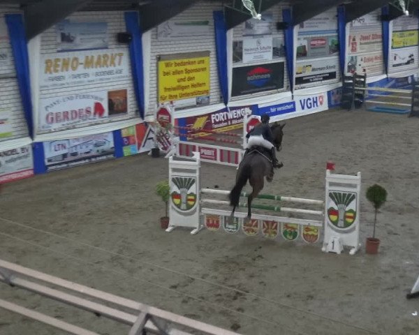 Reitturnier Lathen 2019