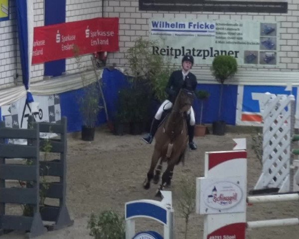 Reitturnier Lathen 2019