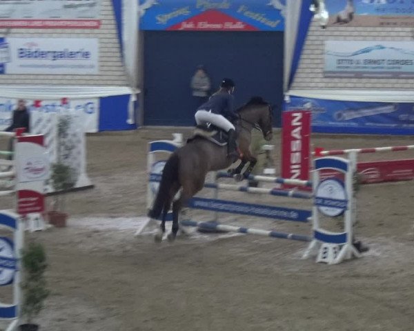 Reitturnier Lathen 2019