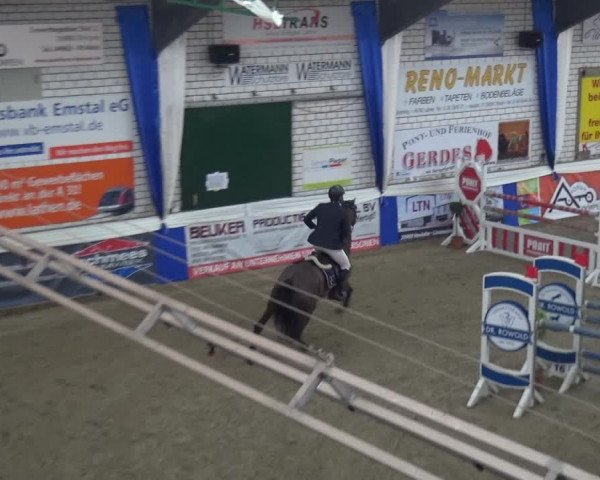 Reitturnier Lathen 2019
