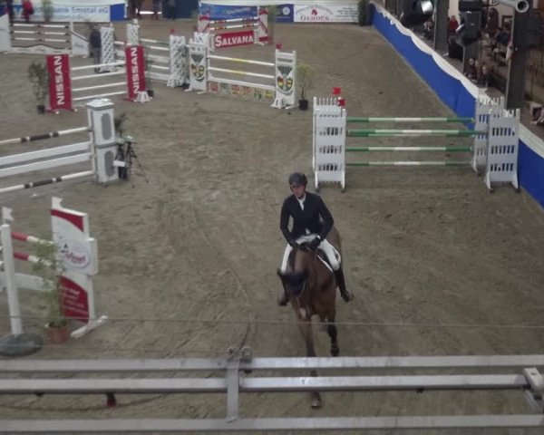 Reitturnier Lathen 2019