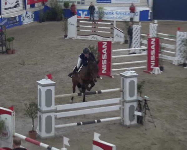 Reitturnier Lathen 2019