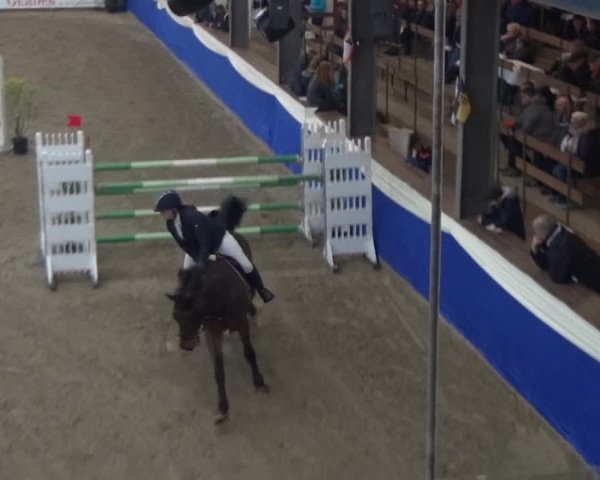 Reitturnier Lathen 2019