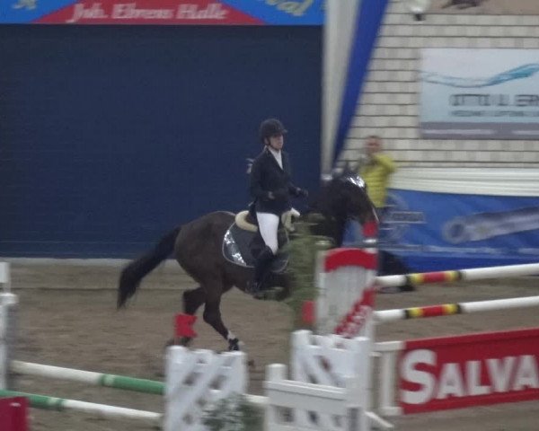 Reitturnier Lathen 2019