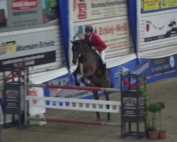Reitturnier Lathen 2019
