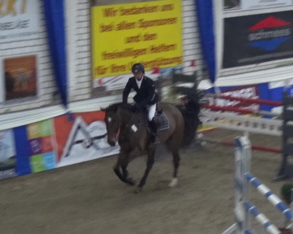 Reitturnier Lathen 2019