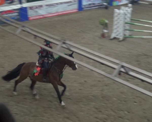Reitturnier Lathen 2019