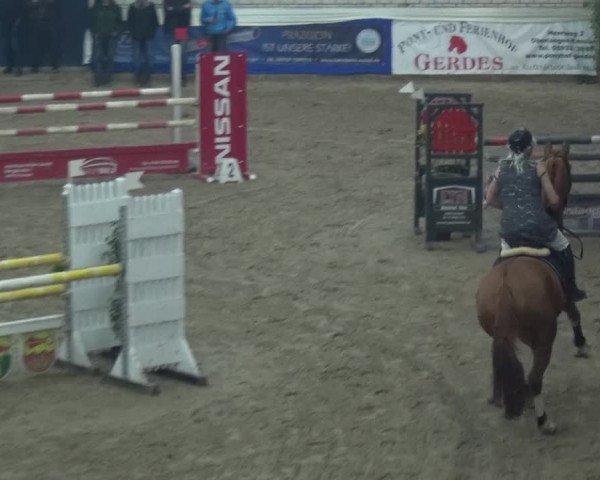 Reitturnier Lathen 2019