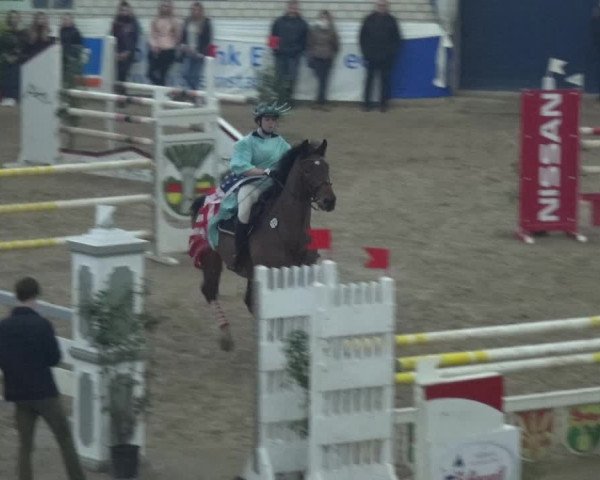 Reitturnier Lathen 2019