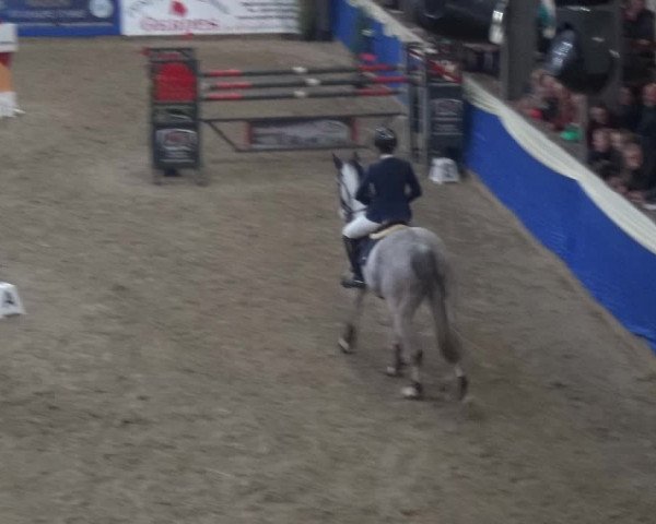 Reitturnier Lathen 2019