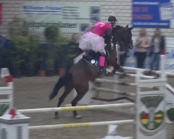 Reitturnier Lathen 2019