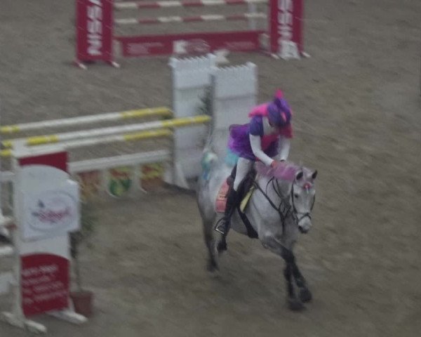 Reitturnier Lathen 2019