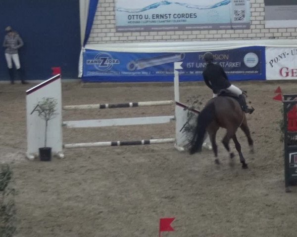 Reitturnier Lathen 2019