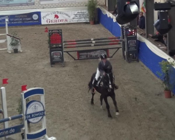Reitturnier Lathen 2019