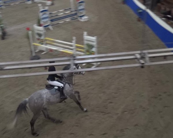 Reitturnier Lathen 2019