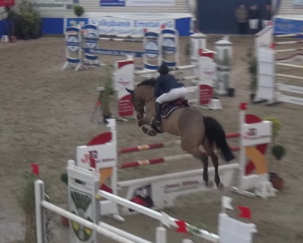 Reitturnier Lathen 2019