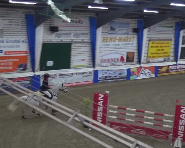 Reitturnier Lathen 2019