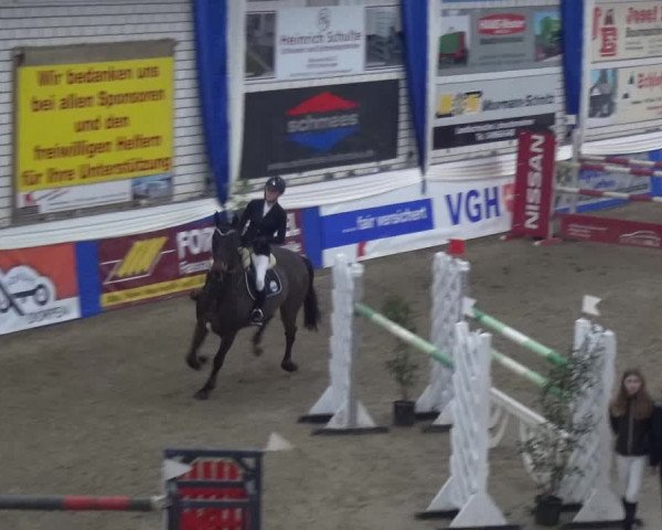 Reitturnier Lathen 2019