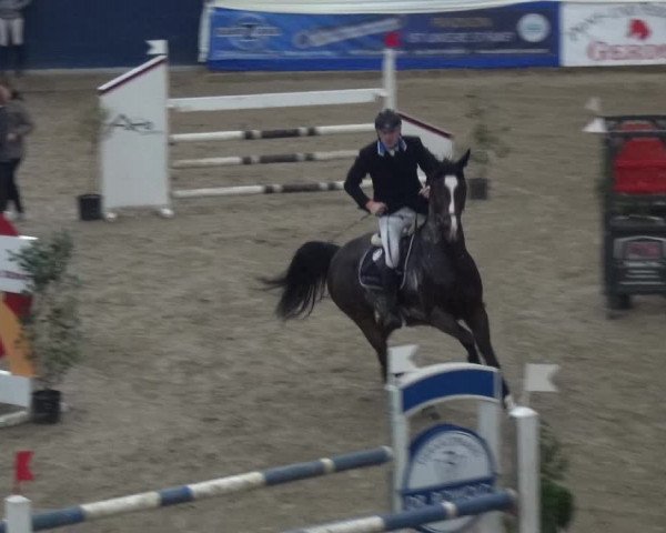 Reitturnier Lathen 2019