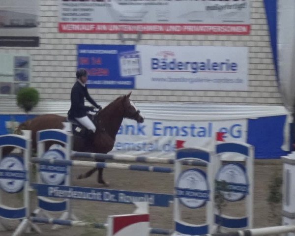 Reitturnier Lathen 2019