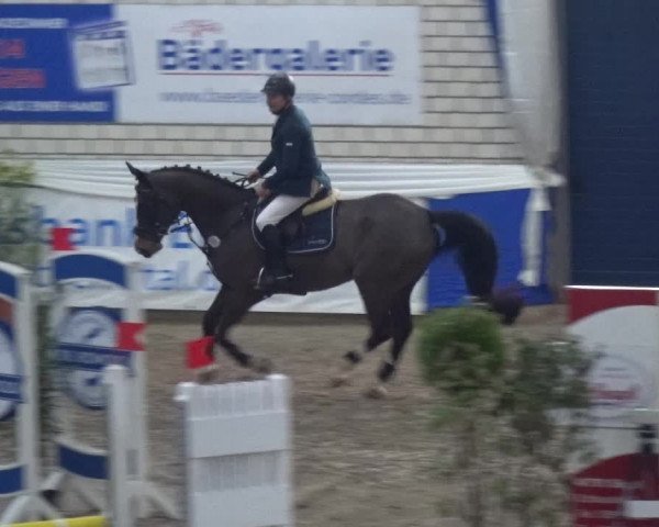 Reitturnier Lathen 2019