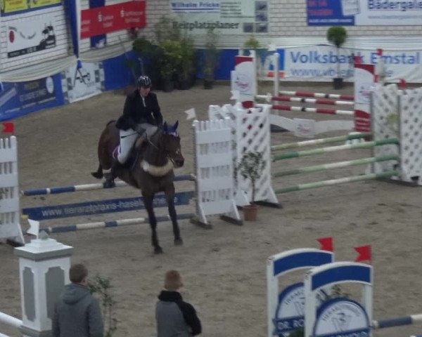 Reitturnier Lathen 2019