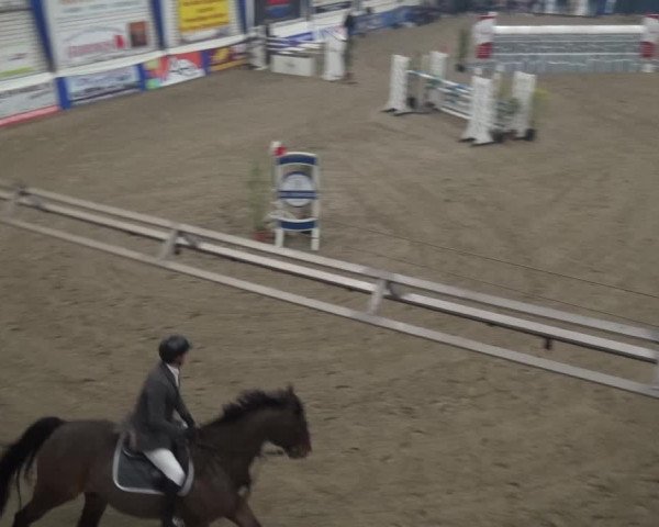Reitturnier Lathen 2019