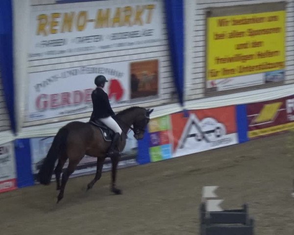Reitturnier Lathen 2019