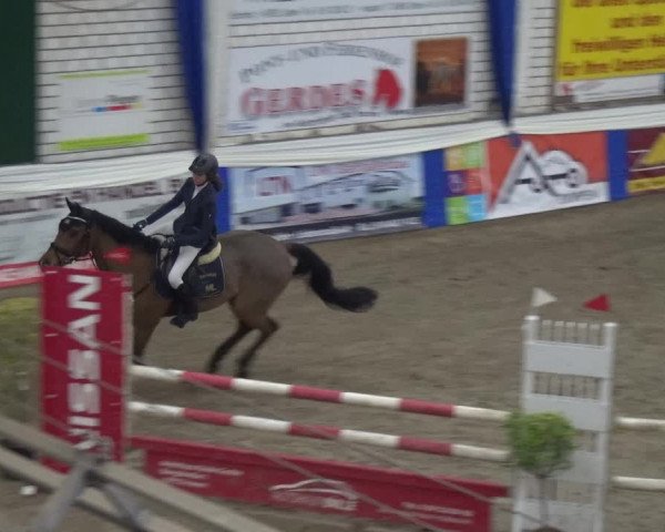 Reitturnier Lathen 2019