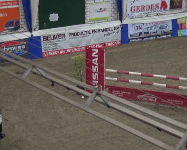 Reitturnier Lathen 2019